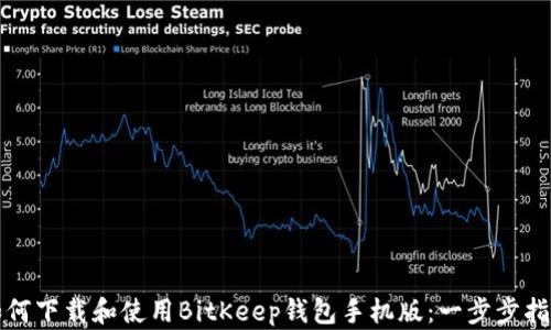 
如何下载和使用BitKeep钱包手机版：一步步指南