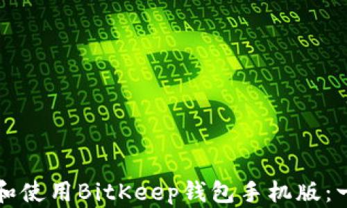
如何下载和使用BitKeep钱包手机版：一步步指南