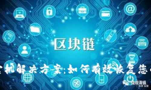 : TP钱包宕机解决方案：如何有效恢复您的数字资产