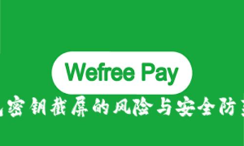 tp钱包密钥截屏的风险与安全防范措施