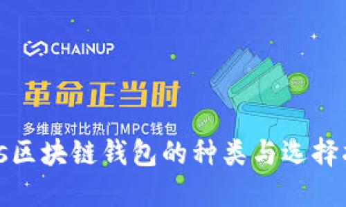 bias区块链钱包的种类与选择指南