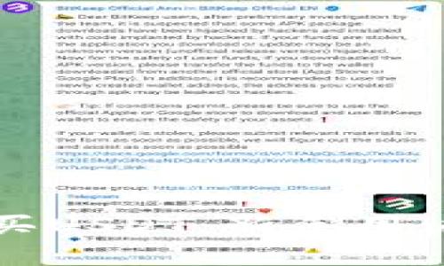 比特派怎么买USDT：新手用户的完整指南