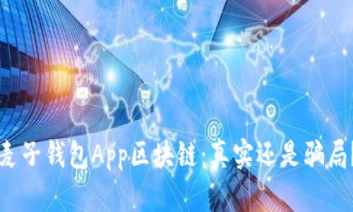 麦子钱包App区块链：真实还是骗局？