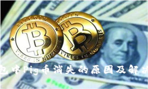 TP钱包中Pig币消失的原因及解决方案