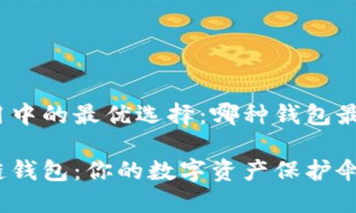 区块链应用中的最优选择：哪种钱包最适合你？

探秘区块链钱包：你的数字资产保护伞会是哪个？