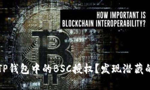 如何安全地取消TP钱包中的BSC授权？发现潜藏的风险与解决方法