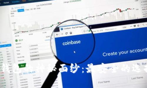 揭开数字钱包的神秘面纱：最安全的选择是什么？