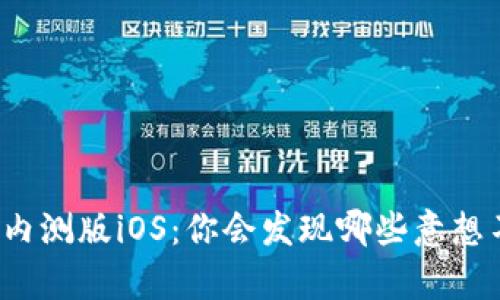 探索TP钱包内测版iOS：你会发现哪些意想不到的惊喜？