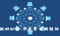 TP钱包转账找回秘籍：你是