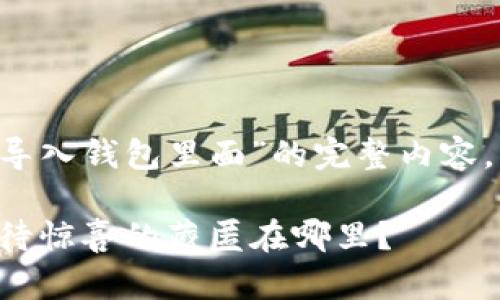 下面是关于“tp钱包怎么导入钱包里面”的完整内容，包括、关键词及内容大纲。

如何轻松导入TP钱包，等待惊喜的藏匿在哪里？