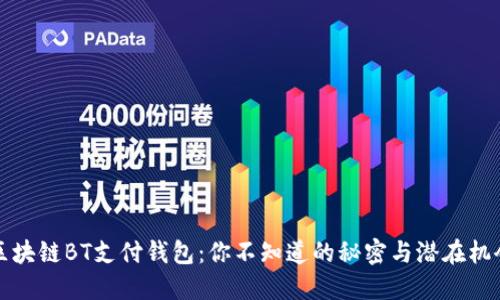 区块链BT支付钱包：你不知道的秘密与潜在机会