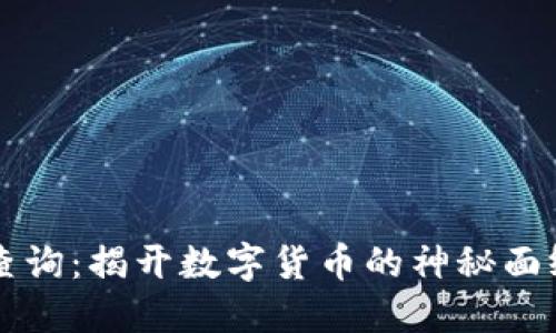 ziaotiUSDT网址查询：揭开数字货币的神秘面纱，你准备好了吗？