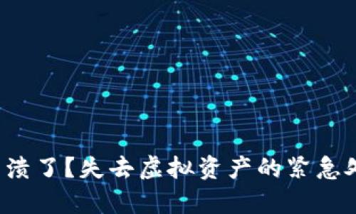 TP钱包崩溃了？失去虚拟资产的紧急处理指南！