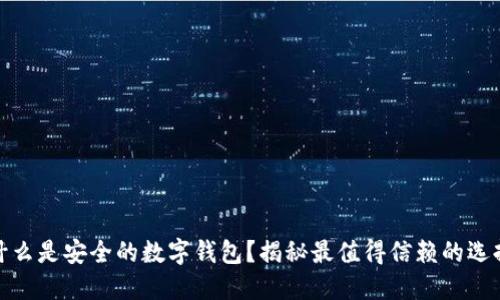 什么是安全的数字钱包？揭秘最值得信赖的选择