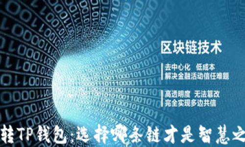 
FIL转TP钱包：选择哪条链才是智慧之选？
