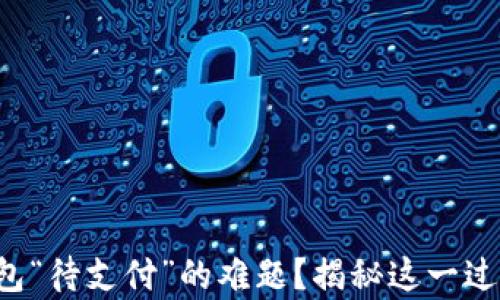 
如何解决TP钱包“待支付”的难题？揭秘这一过程背后的真相！