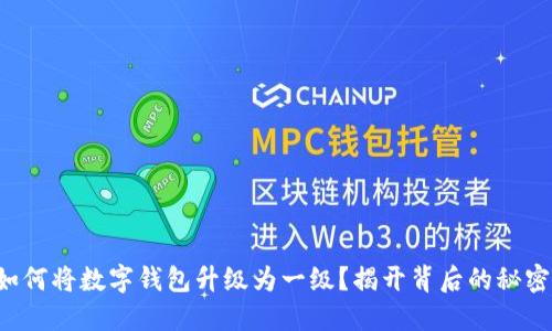 如何将数字钱包升级为一级？揭开背后的秘密！