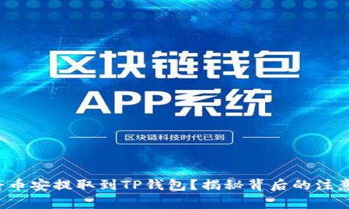 如何将币安提取到TP钱包？揭秘背后的注意事项！