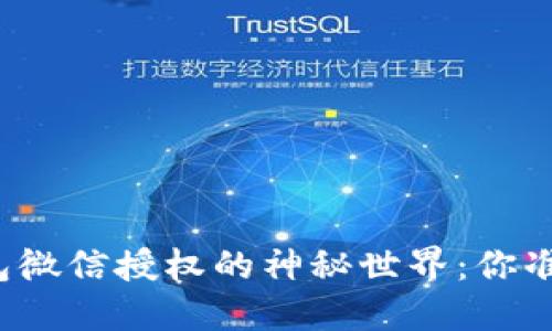 探索TP钱包微信授权的神秘世界：你准备好了吗？