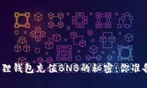 探索小狐狸钱包充值BNB的秘密：你准备好了吗？
