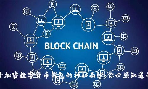 揭开加密数字货币钱包的神秘面纱：你必须知道的事