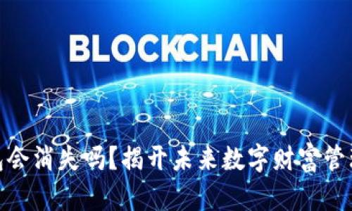 加密货币钱包会消失吗？揭开未来数字财富管理的神秘面纱