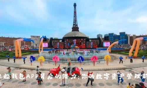 探索米粒钱包APP背后的潜力：你的数字资产管理新助手？