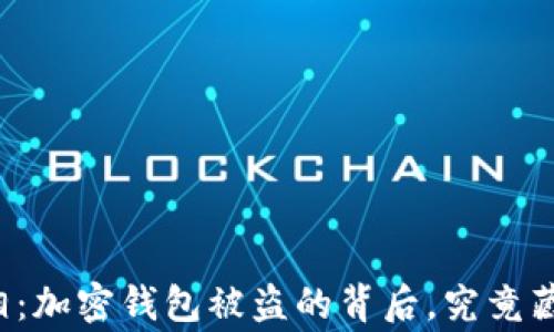 
让人心寒的真相：加密钱包被盗的背后，究竟藏着怎样的秘密？