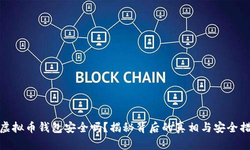 tp虚拟币钱包安全吗？揭秘背后的真相与安全措施