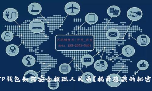 TP钱包如何安全提现人民币？揭开隐藏的秘密！