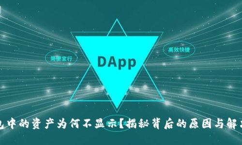 TP钱包中的资产为何不显示？揭秘背后的原因与解决方案