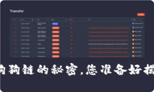 在TP钱包中畅游狗狗链的秘密，您准备好揭开哪些未知了吗？