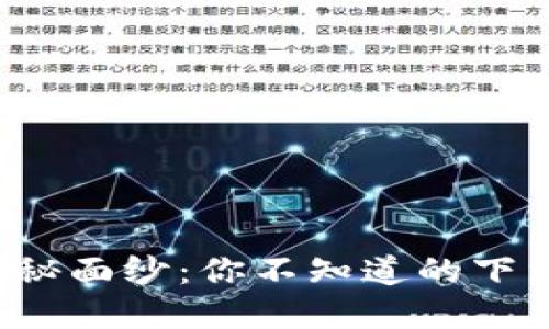 揭开数字钱包的神秘面纱：你不知道的下载方法与实用技巧！