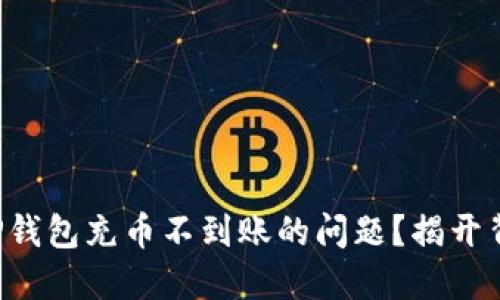 如何解决TP钱包充币不到账的问题？揭开背后的秘密！