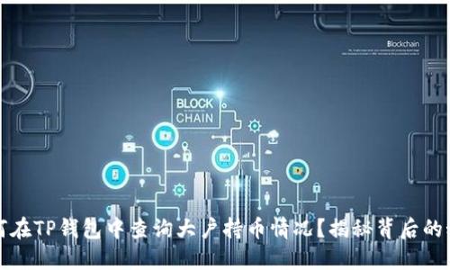 如何在TP钱包中查询大户持币情况？揭秘背后的秘密