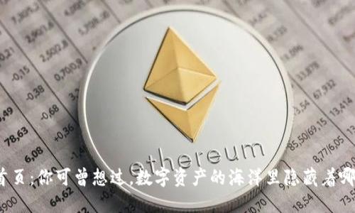 TP钱包首页：你可曾想过，数字资产的海洋里隐藏着哪些秘密？