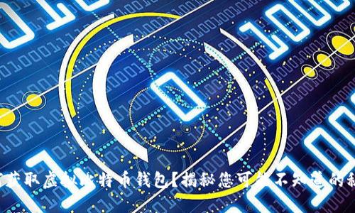 如何获取虚拟比特币钱包？揭秘您可能不知道的秘密！