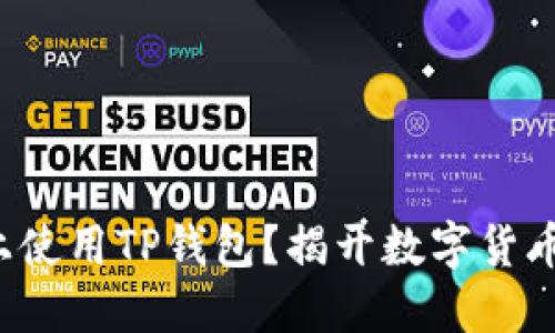 如何在电脑上使用TP钱包？揭开数字货币的神秘面纱！