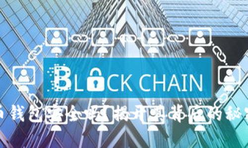 数字货币钱包安全吗？揭开其背后的秘密与挑战