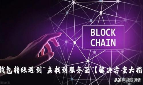 TP钱包转账遇到“未找到服务器”？解决方案大揭秘！