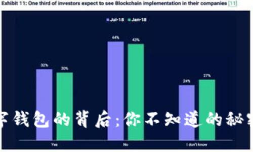 加密数字钱包的背后：你不知道的秘密与挑战