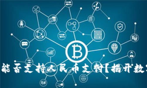 虚拟货币钱包能否支持人民币支付？揭开数字货币的秘密！