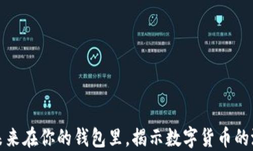 
区块链的未来在你的钱包里，揭示数字货币的潜力和风险