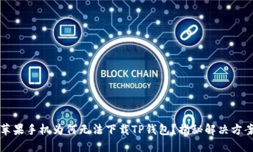 苹果手机为何无法下载TP钱包？揭秘解决方案