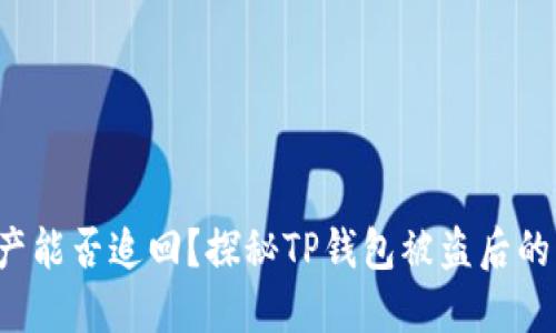 失去的资产能否追回？探秘TP钱包被盗后的自救之道！