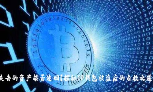 失去的资产能否追回？探秘TP钱包被盗后的自救之道！