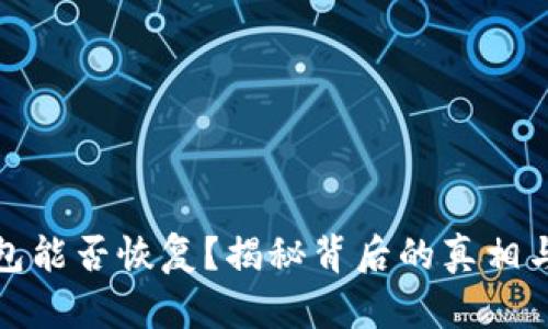 安卓TP钱包能否恢复？揭秘背后的真相与解决方案