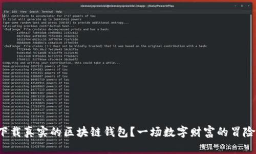 如何安全地下载真实的区块链钱包？一场数字财富的冒险之旅等着你！