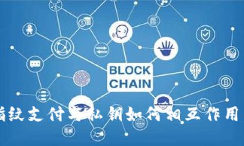 欲了解TP钱包指纹支付与私钥如何相互作用，您会发现什么？