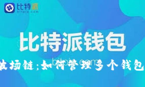 揭秘TP波场链：如何管理多个钱包的秘密？